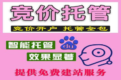 精准投放，高效转化——网站sem托管的胜利案例